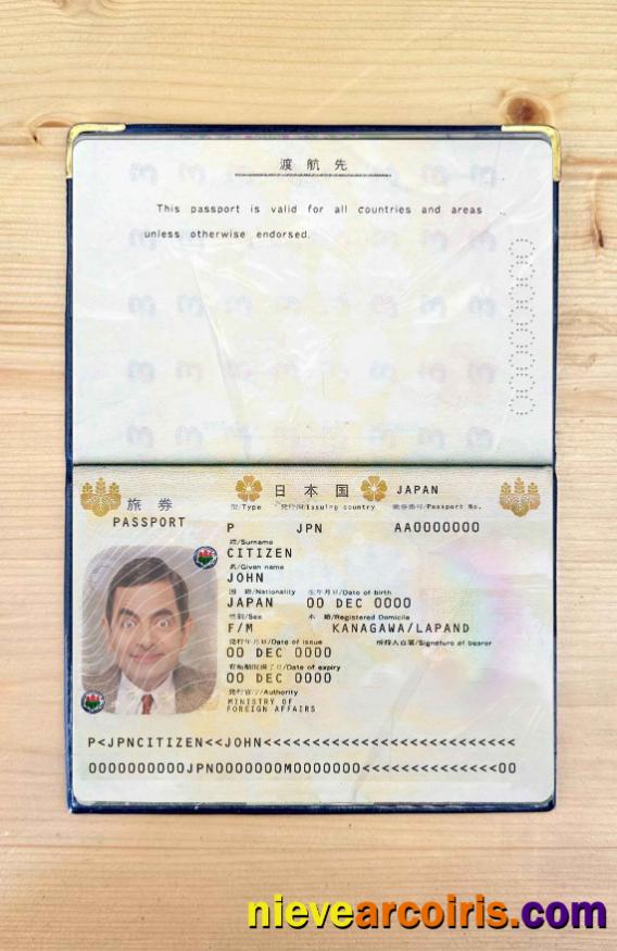 Japan pass photolook